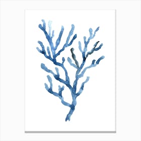 Watercolor Blue Coral Branch Canvas Print