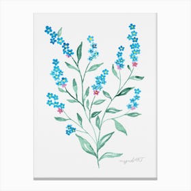 Forget-me-not 1 Canvas Print