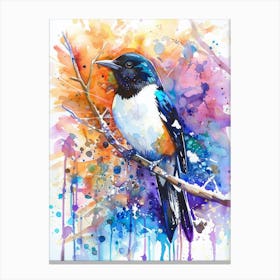 Magpie Colourful Watercolour 4 Canvas Print