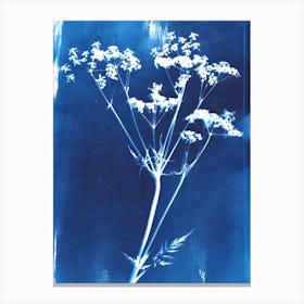 Cyanotype Wild Flower Canvas Print