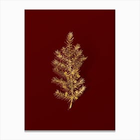 Vintage Common Juniper Botanical in Gold on Red n.0267 Canvas Print