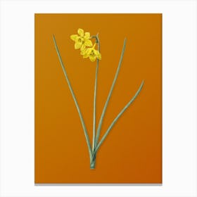 Vintage Narcissus Odorus Botanical on Sunset Orange n.0209 Canvas Print