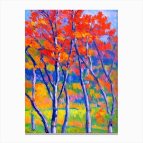 Quaking Aspen tree Abstract Block Colour Canvas Print