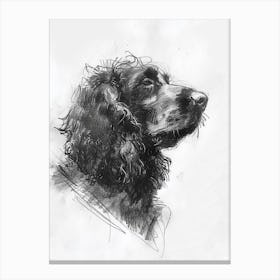 Irish Water Spaniel Dog Charcoal Line 1 Canvas Print