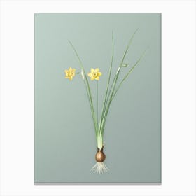 Vintage Daffodil Botanical Art on Mint Green n.0172 Canvas Print