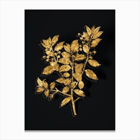 Vintage Evergreen Oak Botanical in Gold on Black Canvas Print