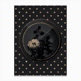 Shadowy Vintage Ventenat's Rose Botanical in Black and Gold Canvas Print