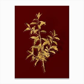 Vintage Alabama Dahoon Branch Botanical in Gold on Red n.0297 Canvas Print