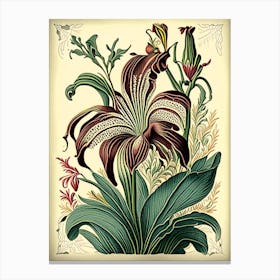 Lily Floral 1 Botanical Vintage Poster Flower Canvas Print