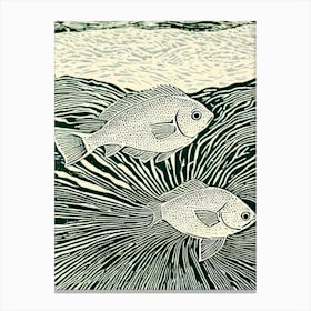 Flounder II Linocut Canvas Print