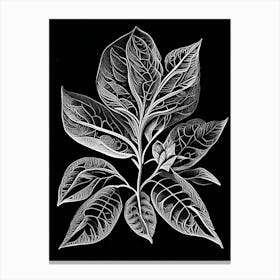 Salal Leaf Linocut 1 Canvas Print