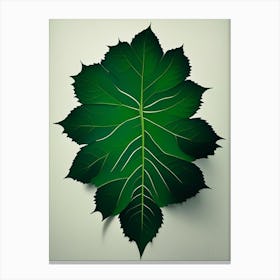 Shiso Leaf Vibrant Inspired Canvas Print