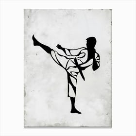 Karate Kick Canvas Print