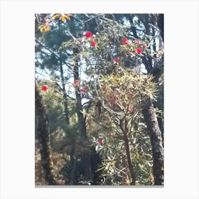 Rhododendrons In A Forest By Binod Dawadi Canvas Print