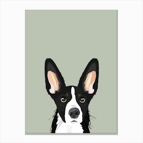 Border Collie 1 Canvas Print