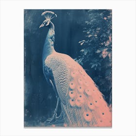 Peacock In The Leaves Cyanotype Inspired 5 Canvas Print
