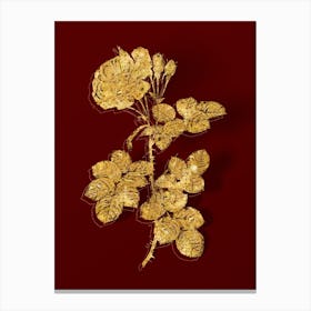 Aaihw Vintage Damask Rose Botanical In Gold On Red Canvas Print