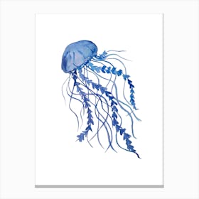 Blue Jellyfish Canvas Print