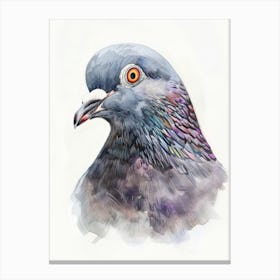 Pigeon 5 Canvas Print