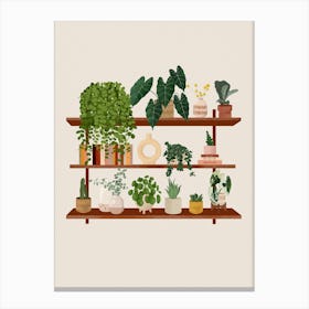 Plant Shelf 2 Canvas Print