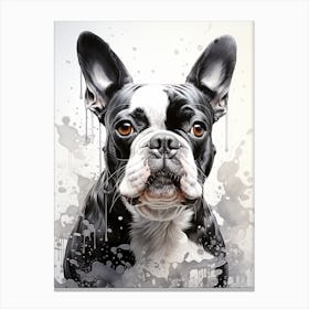 Boston Terrier Canvas Print