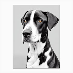 Greater Swiss Mountain Dog B&W Pencil dog Canvas Print