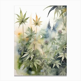 Marijuana Plants In The Forest Canvas Print