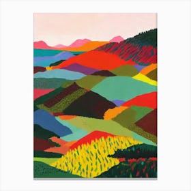Amboró National Park 1 Bolivia Abstract Colourful Canvas Print