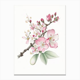 Cherry Blossom Floral Quentin Blake Inspired Illustration 2 Flower Canvas Print