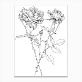 Roses Sketch 2 Canvas Print