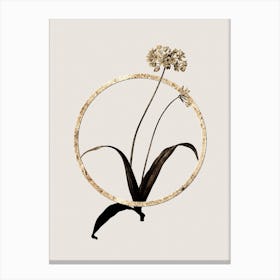 Gold Ring Spring Garlic Glitter Botanical Illustration n.0059 Canvas Print