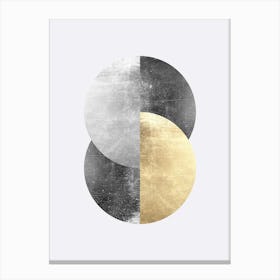 Gold and metal circles 1 Canvas Print