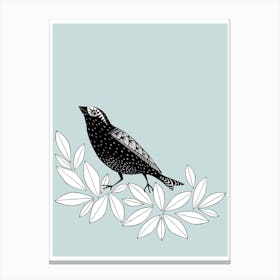 Songbird Spruce Canvas Print