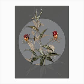 Vintage Botanical Flame Lily on Circle Gray on Gray n.0325 Canvas Print