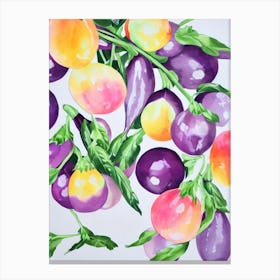 Chinese Eggplant Marker vegetable Canvas Print