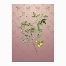Vintage Stinking Bean Trefoil Botanical on Dusty Pink Pattern n.1524 Canvas Print