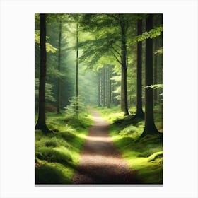 Path In The Forest Canvas Print