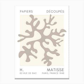 Matisse 20 Canvas Print