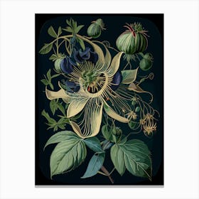 Passion Flower Herb Vintage Botanical Canvas Print