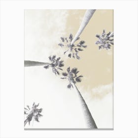 Palm Trees Beige Sky Canvas Print