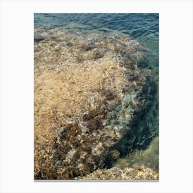 Rocky shore and clear sea water Canvas Print