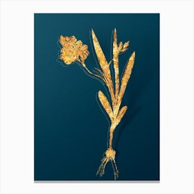 Vintage Ixia Miniata Botanical in Gold on Teal Blue Canvas Print