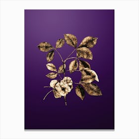 Gold Botanical Common Hoptree on Royal Purple n.4918 Canvas Print