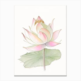 Sacred Lotus Pencil Illustration 5 Canvas Print