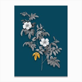 Vintage Musk Rose Black and White Gold Leaf Floral Art on Teal Blue n.0489 Canvas Print