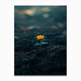 Single Flower In The Dark 27 Canvas Print