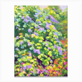 Maidenhair Vine Impressionist Painting Plant Canvas Print
