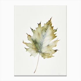 White Oak Leaf Minimalist Watercolour 2 Canvas Print