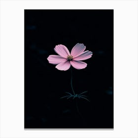 Single Pink Flower 2 Canvas Print