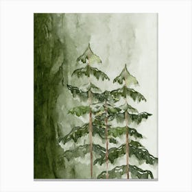 Watercolor Of Pine Trees Canvas Print